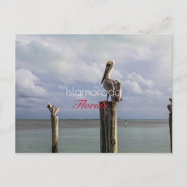 Islamorada, Florida Holiday Postcard (Front)