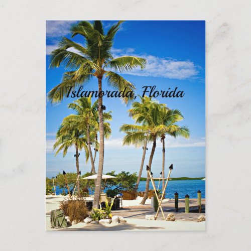 Islamorada Florida Palm Trees Postcard
