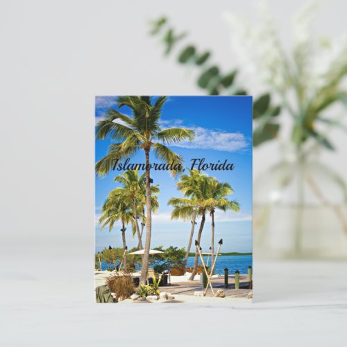Islamorada Florida tropical photograph Postcard