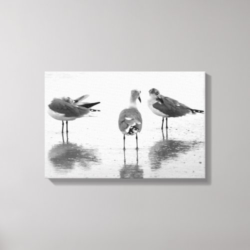 Island Beach Seagulls Black  White Canvas Print