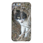 Island Cat at St. John Barely There iPhone 6 Case