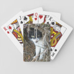 Island Cat at St. John Playing Cards