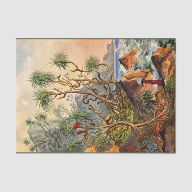 Island Ernst Haeckel  Decoupage  Tissue Paper (Front)