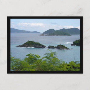 Island Group Postcard