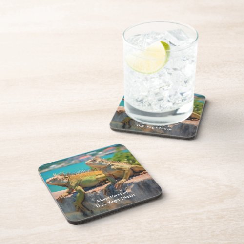 Island Harmony Iguanas Coaster Set 6