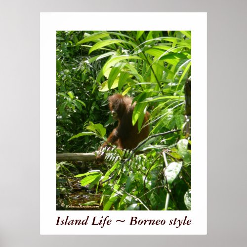 Island Life  Borneo style Poster
