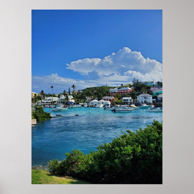 Island Life Poster (Front)