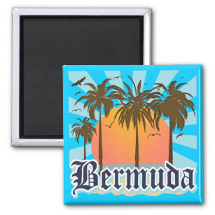 Island of Bermuda Souvenirs Magnet