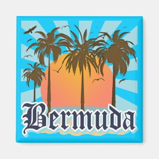 Island of Bermuda Souvenirs Magnet