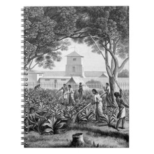 Island of Guam: Natives at Work in the Garden of t Notebook