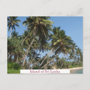 Island of Sri Lanka Vintage Travel Tourism Add Postcard