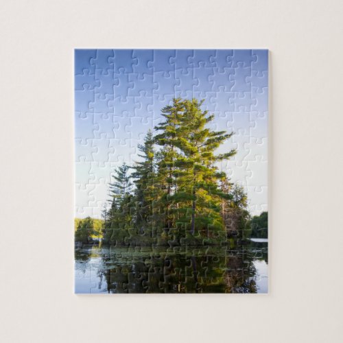 Island on Lake Long Pond Jigsaw Puzzle