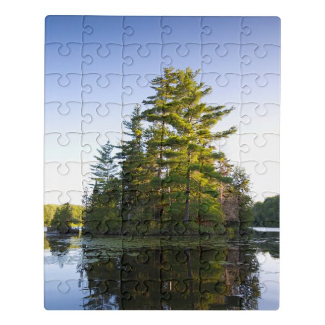 Island on Lake Long Pond Jigsaw Puzzle (Puzzle Vertical)