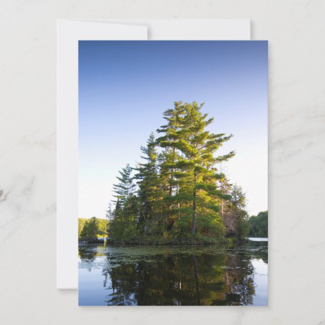 Island on Lake Long Pond Thank You Card (Front)