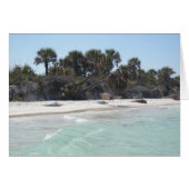 Island Paradise (Front Horizontal)