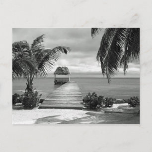 Island Pier Postcard