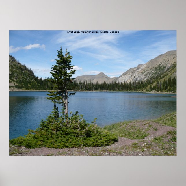 Island Poster (Front)