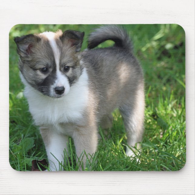 Islandhund Mouse Pad (Front)