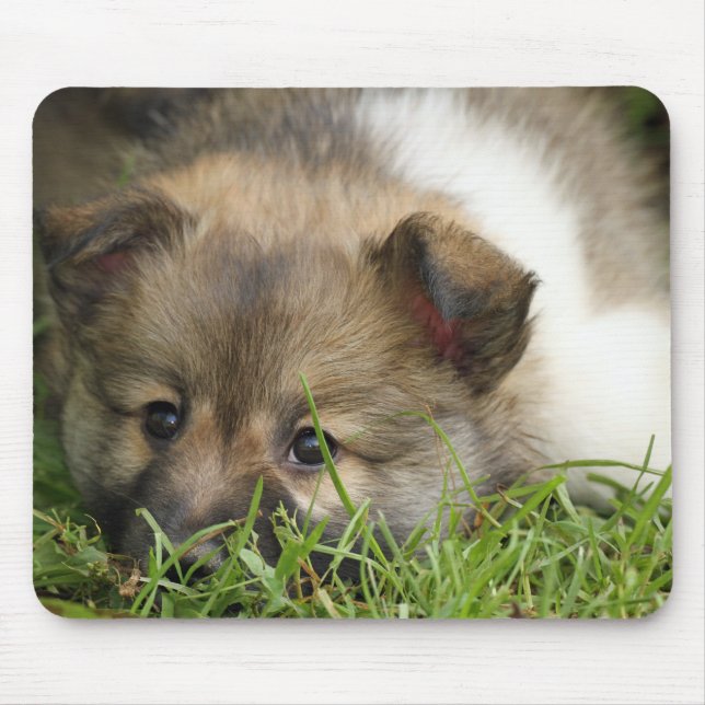 Islandhundewelpe Mouse Pad (Front)