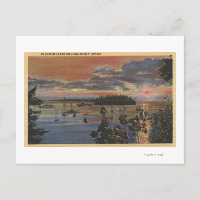 Islands of Lower Columbia River at Sunsetand Postcard (Front)