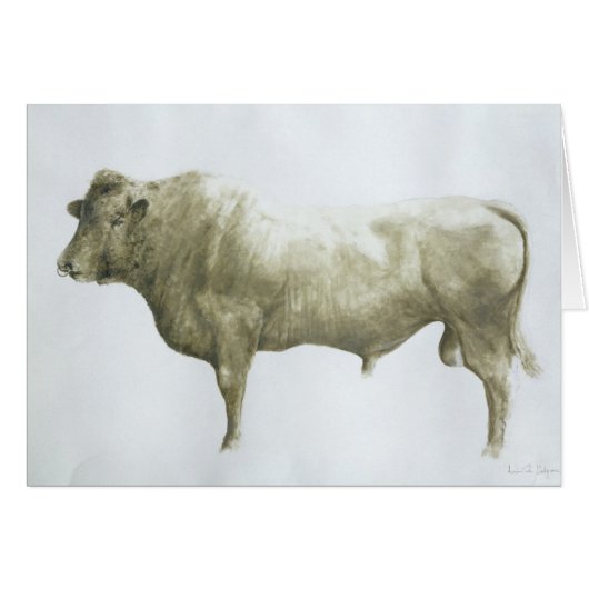 Islay Bull 2004 (Front Horizontal)