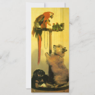 Islay, Tilco, a Macaw and Love Birds by Landseer