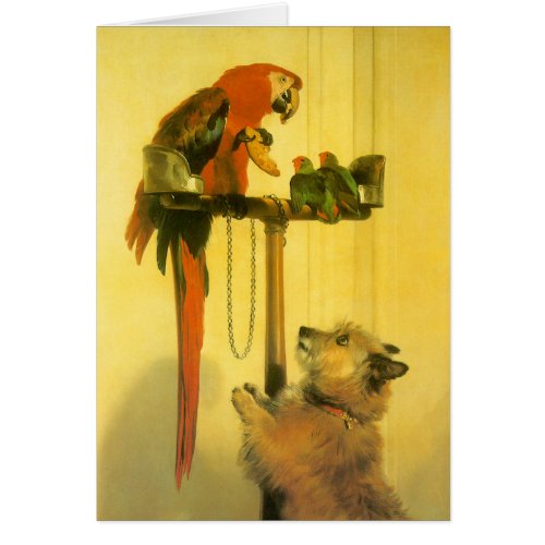 Islay Tilco a Macaw and Love Birds by Landseer