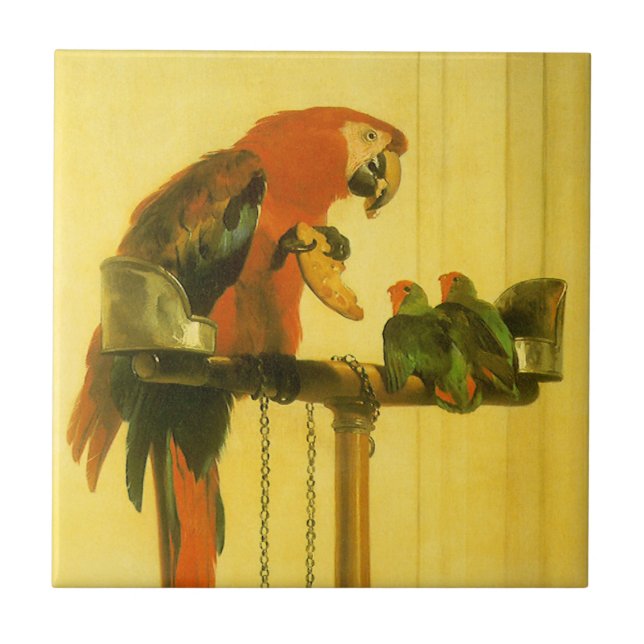 Islay, Tilco, a Macaw and Love Birds by Landseer Ceramic Tile (Front)