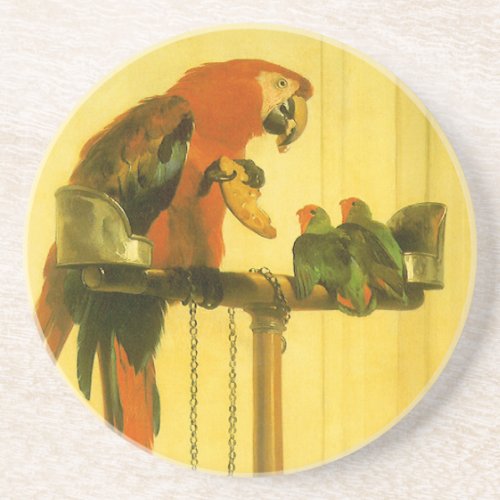 Islay Tilco a Macaw and Love Birds by Landseer Coaster