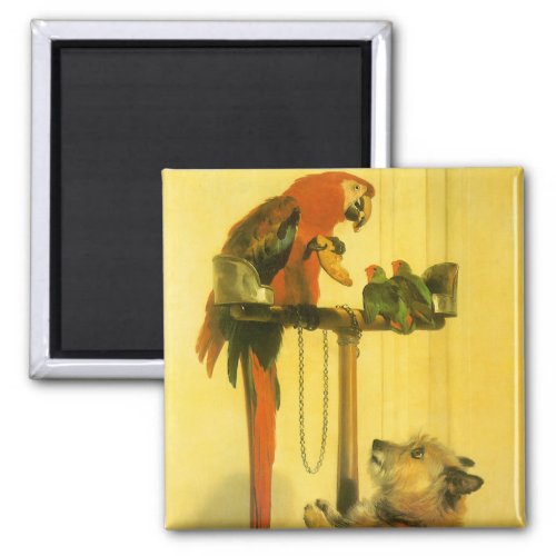 Islay Tilco a Macaw and Love Birds by Landseer Magnet