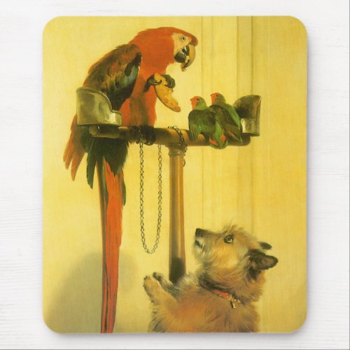 Islay Tilco a Macaw and Love Birds by Landseer Mouse Pad