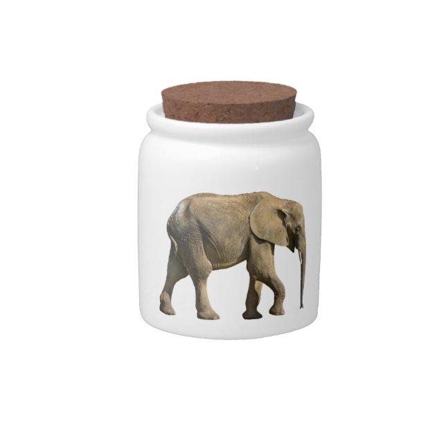 Isolated African elephant Candy Jar (Front)