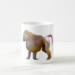 Isolated baboon walking postcard square sticker coffee mug