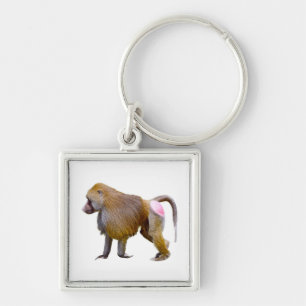 Isolated baboon walking postcard square sticker keychain