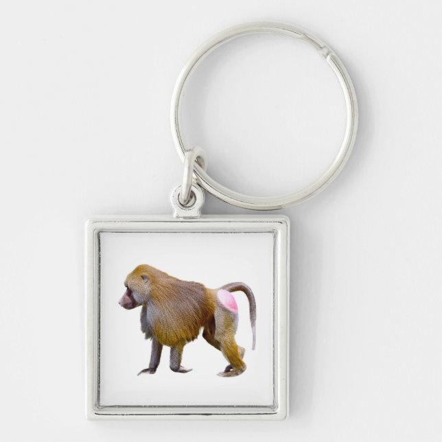 Isolated baboon walking postcard square sticker keychain (Front)
