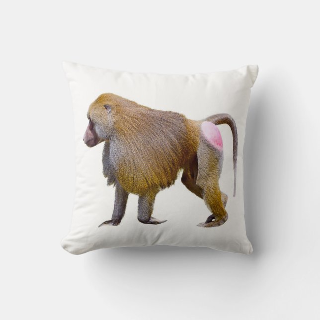 Isolated baboon walking postcard square sticker throw pillow (Front)