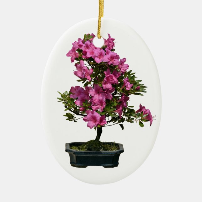 Isolated bonsai rhododendron blooming ceramic ornament (Front)