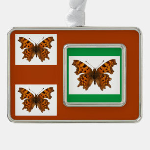 Isolated Comma butterfly Postcard Poster Christmas Ornament
