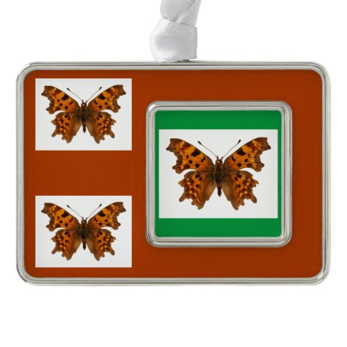 Isolated Comma butterfly Postcard Poster Christmas Ornament