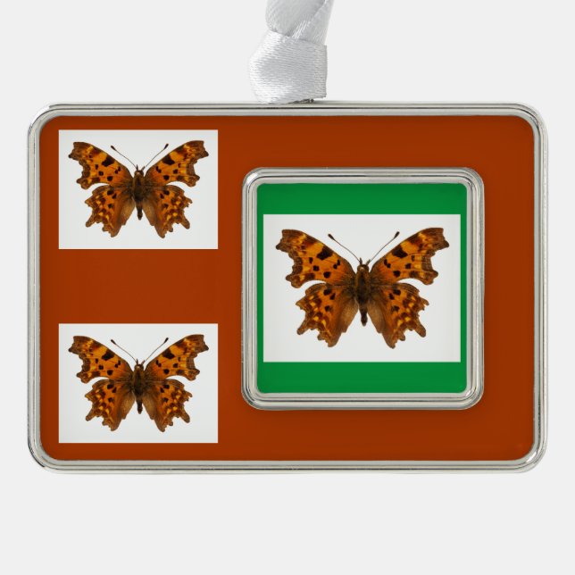 Isolated Comma butterfly Postcard Poster Christmas Ornament (Front)