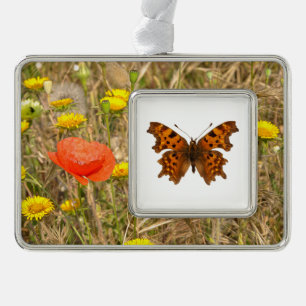 Isolated Comma butterfly Postcard Poster Christmas Ornament