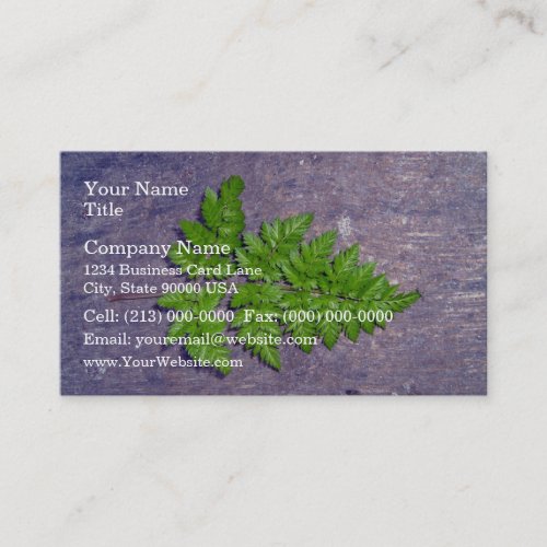 Isolated fresh fern leaf business card template