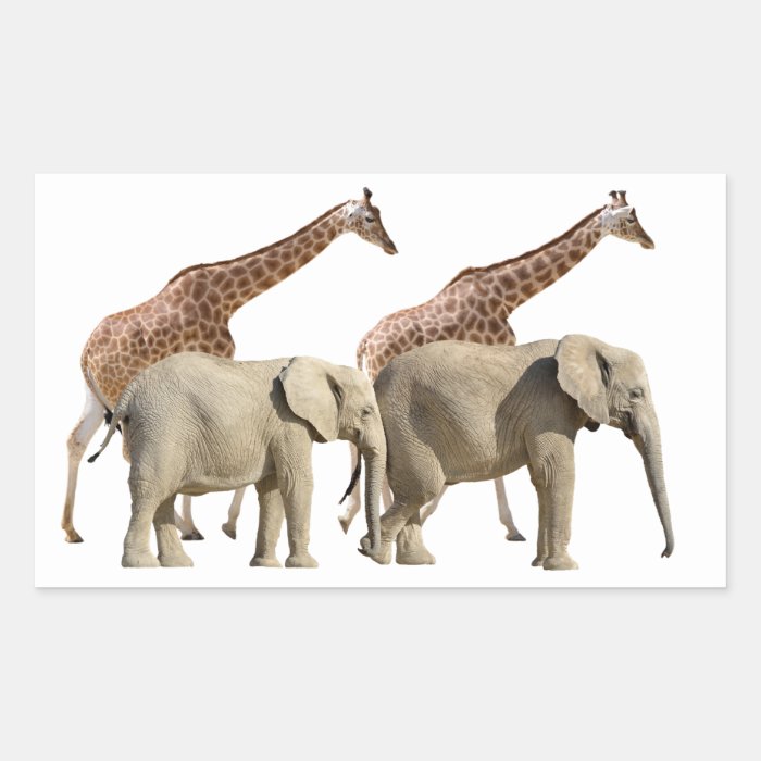 Isolated giraffes and elephants walking rectangular stickers