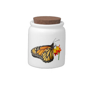 Isolated monarch butterfly candy jar