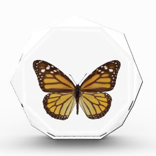 Isolated monarch butterfly PNG Acrylic Award