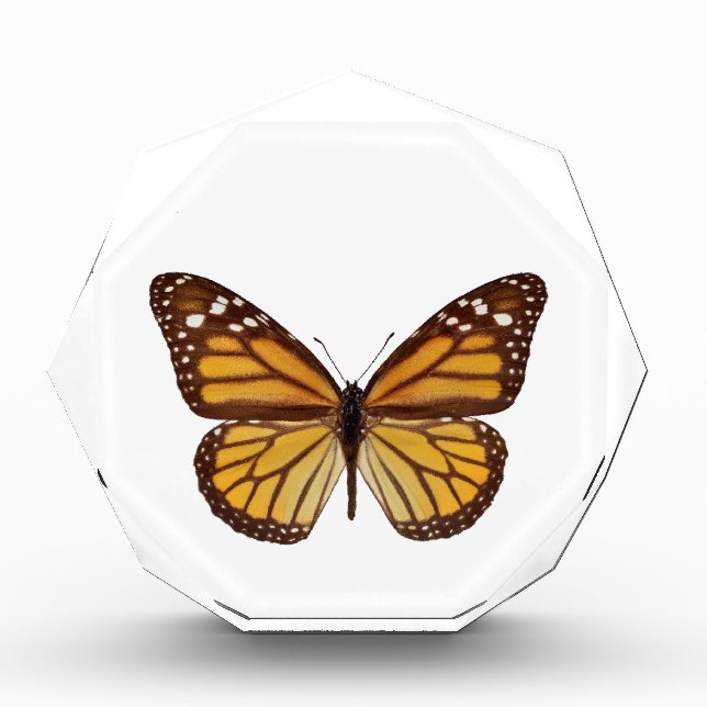 Isolated monarch butterfly PNG Acrylic Award (Front)