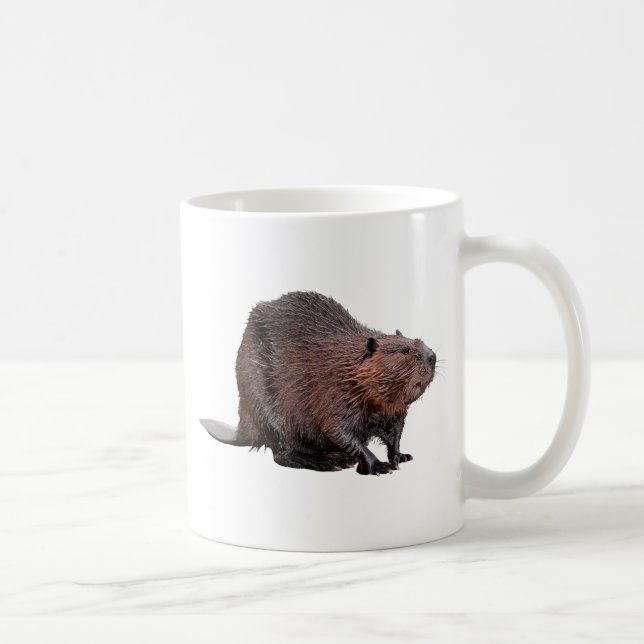 Isolated North American Beaver Coffee Mug (Right)