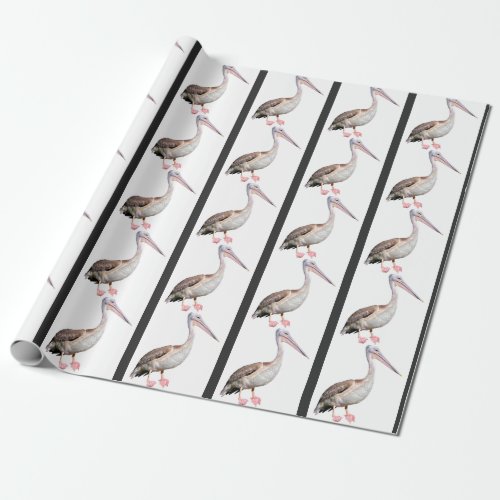 Isolated of he great white pelican postcard T_Shir Wrapping Paper