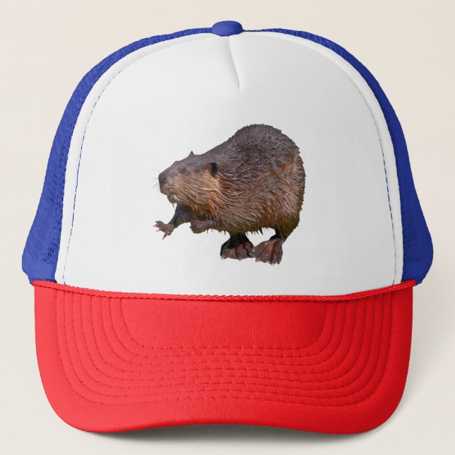 Isolated of North American Beaver Postcard Square  Trucker Hat (Front)