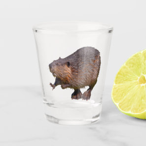 Isolated of North American Beaver Shot Glass